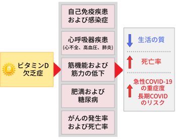 ビタミンD不足による影響